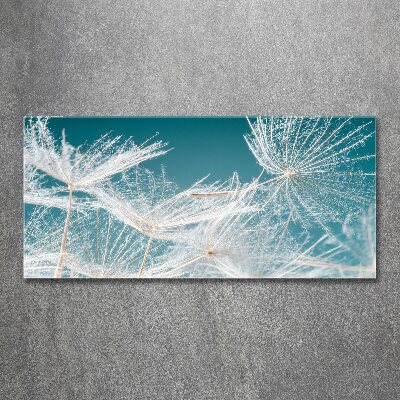 Quadro vetro acrilico Semi di tarassaco