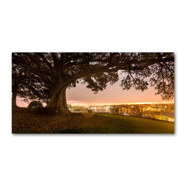 Quadro in vetro acrilico Vecchio albero