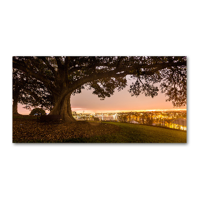 Quadro in vetro acrilico Vecchio albero