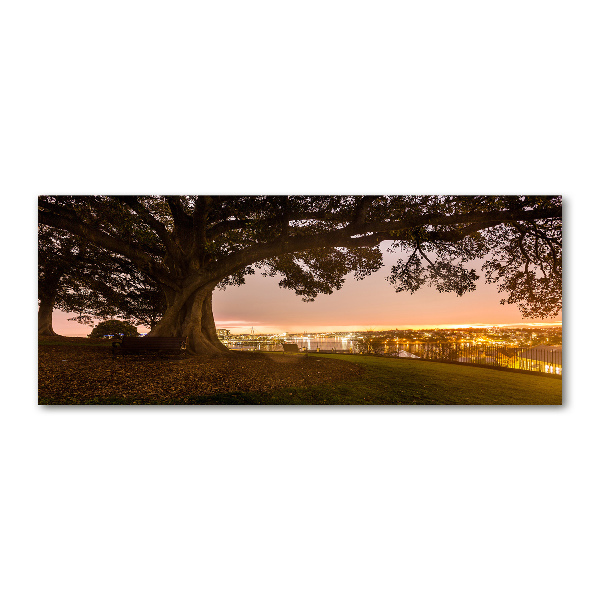 Quadro in vetro acrilico Vecchio albero