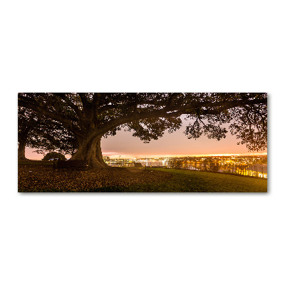 Quadro in vetro acrilico Vecchio albero