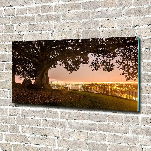 Quadro in vetro acrilico Vecchio albero