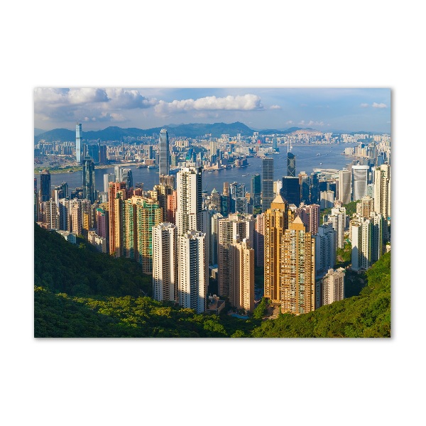 Quadro su vetro acrilico Panorama di Hong Kong