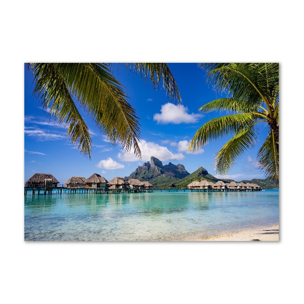 Quadro su vetro acrilico Palme a Bora Bora