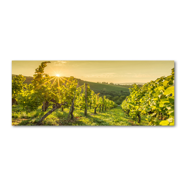 Quadro in vetro acrilico Vigneto