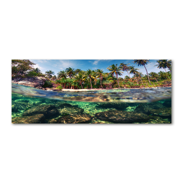 Quadro su vetro acrilico Spiaggia tropicale