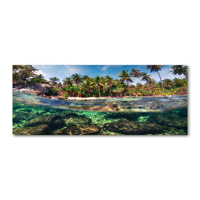 Quadro su vetro acrilico Spiaggia tropicale