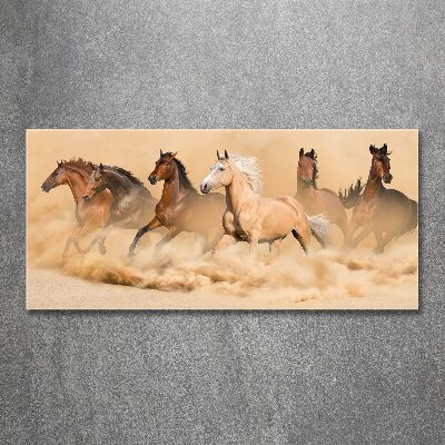 Quadro su vetro acrilico Cavalli del deserto