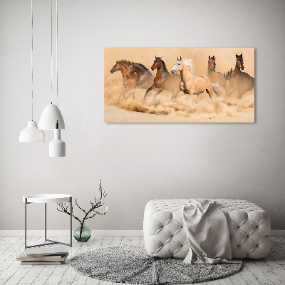Quadro su vetro acrilico Cavalli del deserto