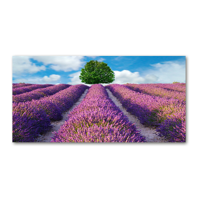 Quadro in vetro acrilico Campo di lavanda