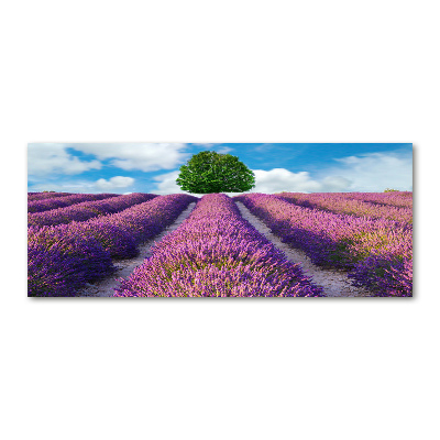 Quadro in vetro acrilico Campo di lavanda