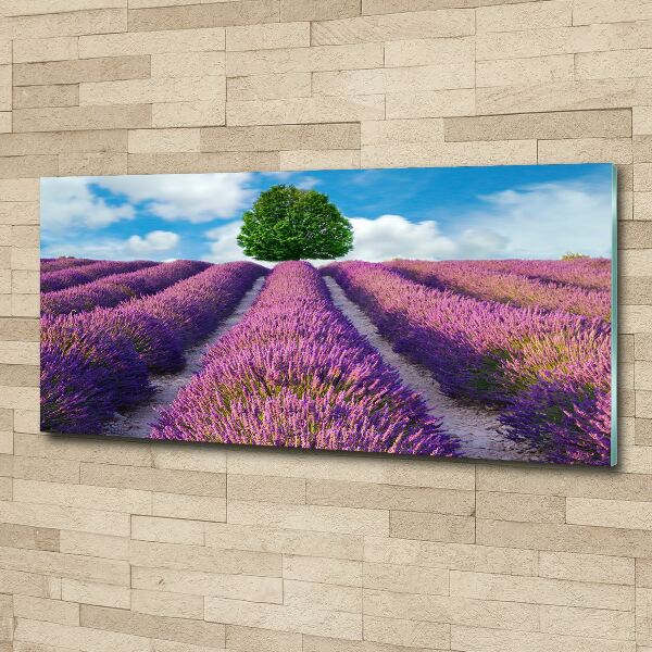 Quadro in vetro acrilico Campo di lavanda