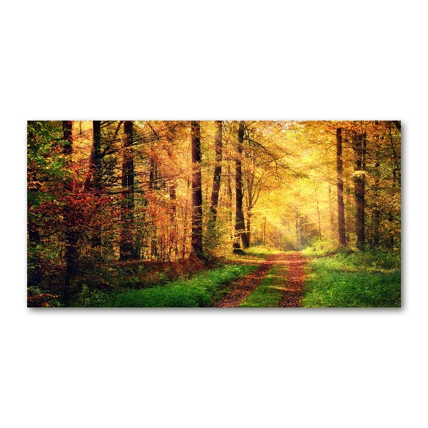 Quadro su vetro acrilico Foresta in autunno