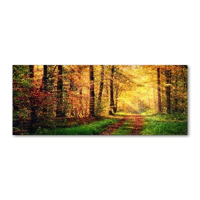 Quadro su vetro acrilico Foresta in autunno