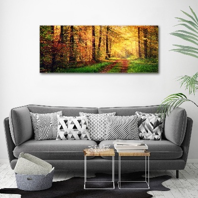 Quadro su vetro acrilico Foresta in autunno