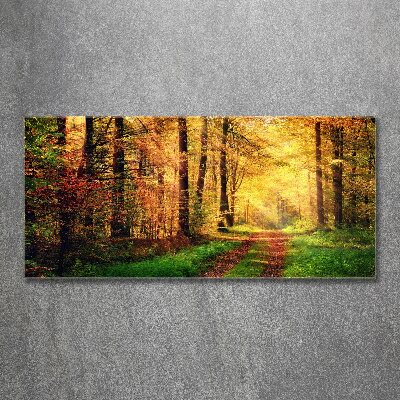 Quadro su vetro acrilico Foresta in autunno