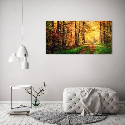 Quadro su vetro acrilico Foresta in autunno