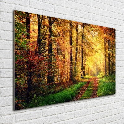 Quadro su vetro acrilico Foresta in autunno