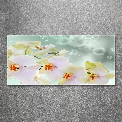 Quadro su vetro acrilico Orchidea bianca