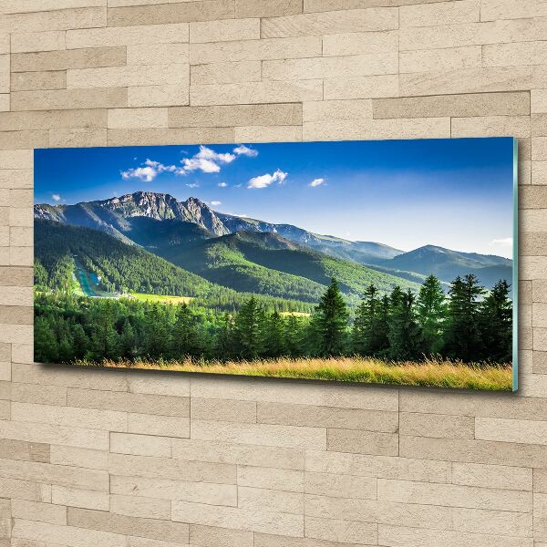 Quadro su vetro acrilico Salto con gli sci sui Monti Tatra