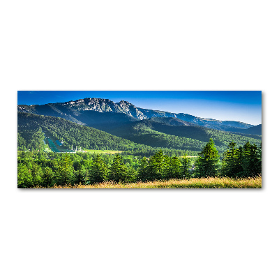 Quadro in vetro acrilico Salto con gli sci sui Monti Tatra