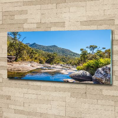 Quadro vetro acrilico Fiume nella foresta