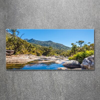 Quadro vetro acrilico Fiume nella foresta