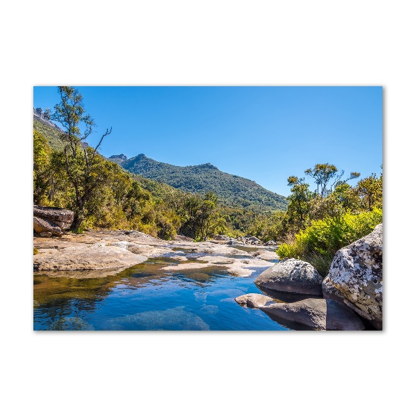 Quadro vetro acrilico Fiume nella foresta