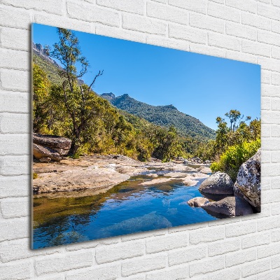 Quadro vetro acrilico Fiume nella foresta