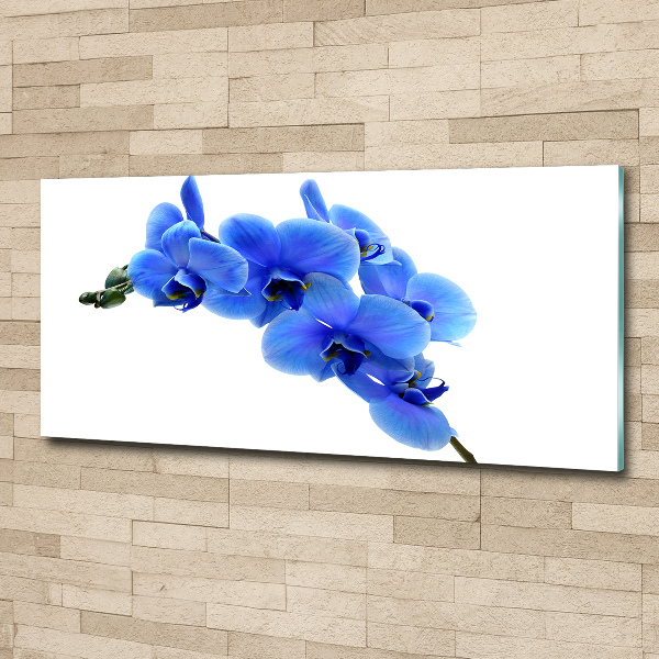 Quadro in vetro acrilico Orchidea blu