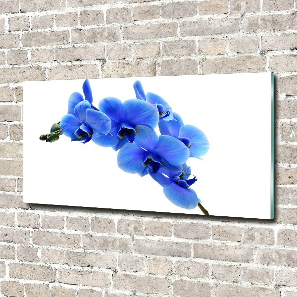 Quadro in vetro acrilico Orchidea blu