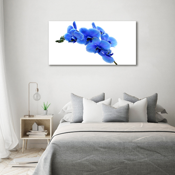 Quadro in vetro acrilico Orchidea blu