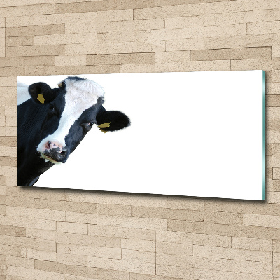 Quadro in vetro acrilico Mucca