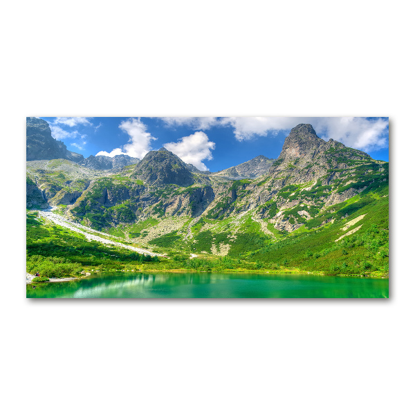 Quadro vetro acrilico Lago tra le montagne