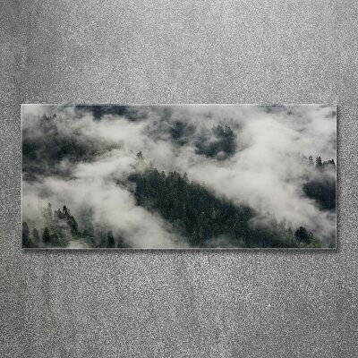 Quadro su vetro acrilico Nebbia sulla foresta
