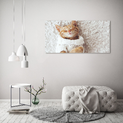 Quadro su vetro acrilico Gattino con il maglione