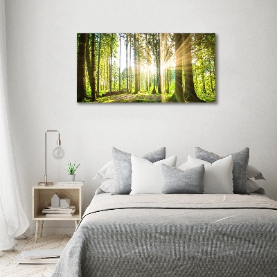 Quadro vetro acrilico Foresta al sole