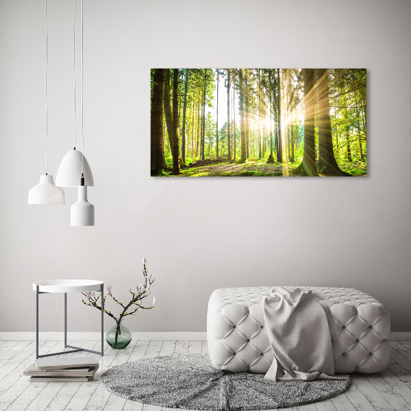 Quadro vetro acrilico Foresta al sole