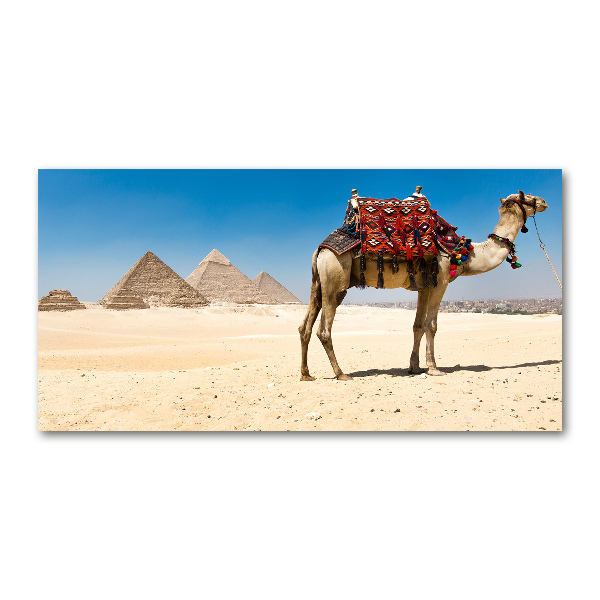 Quadro vetro acrilico Cammelli al Cairo