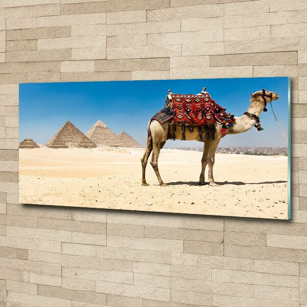 Quadro vetro acrilico Cammelli al Cairo