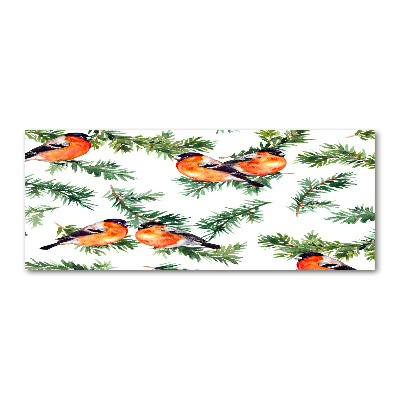 Quadro su vetro acrilico Pettirosso su una conifera