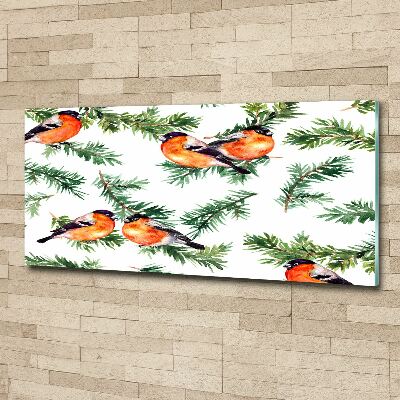 Quadro su vetro acrilico Pettirosso su una conifera