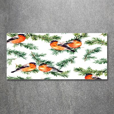 Quadro su vetro acrilico Pettirosso su una conifera