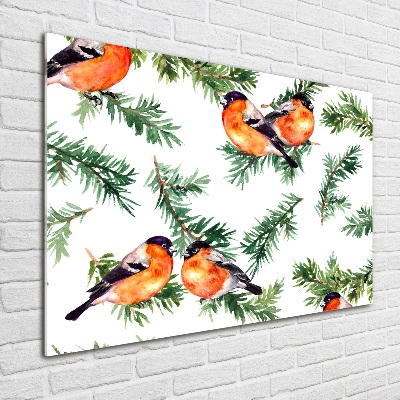 Quadro su vetro acrilico Pettirosso su una conifera