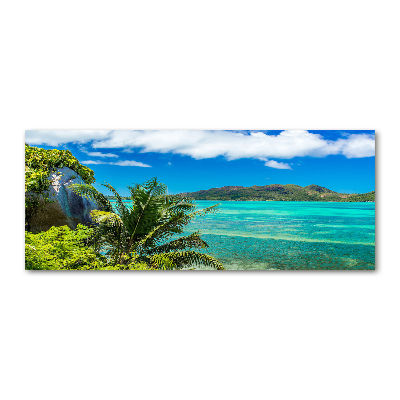Quadro vetro acrilico Costa delle Seychelles