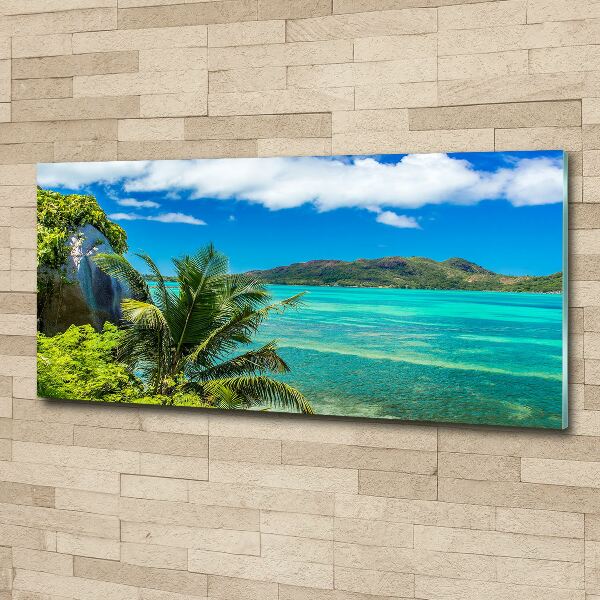 Quadro vetro acrilico Costa delle Seychelles