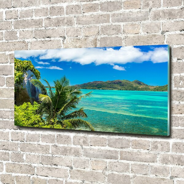 Quadro vetro acrilico Costa delle Seychelles