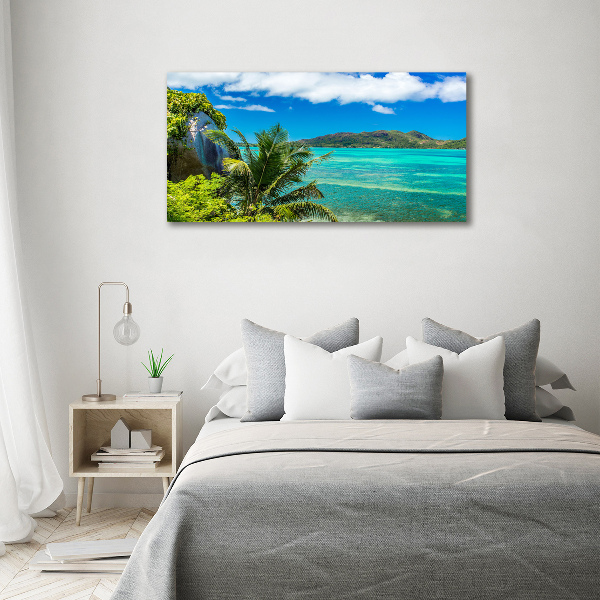 Quadro vetro acrilico Costa delle Seychelles