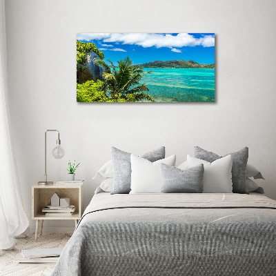 Quadro vetro acrilico Costa delle Seychelles