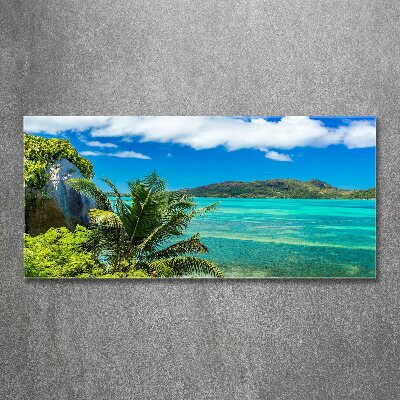 Quadro vetro acrilico Costa delle Seychelles